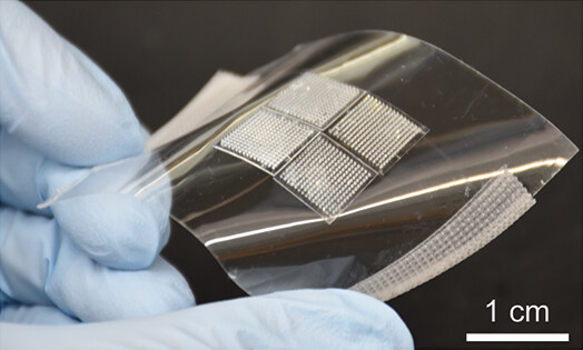 Person Holding Plastic